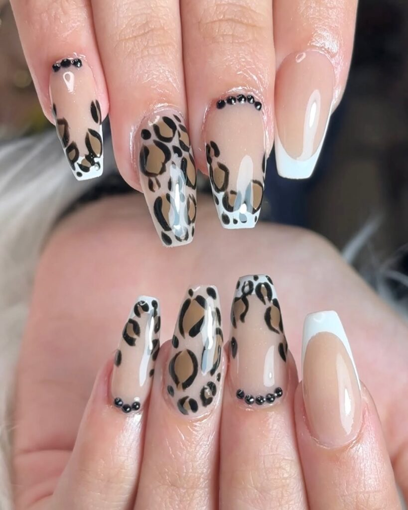 animal print acrylics