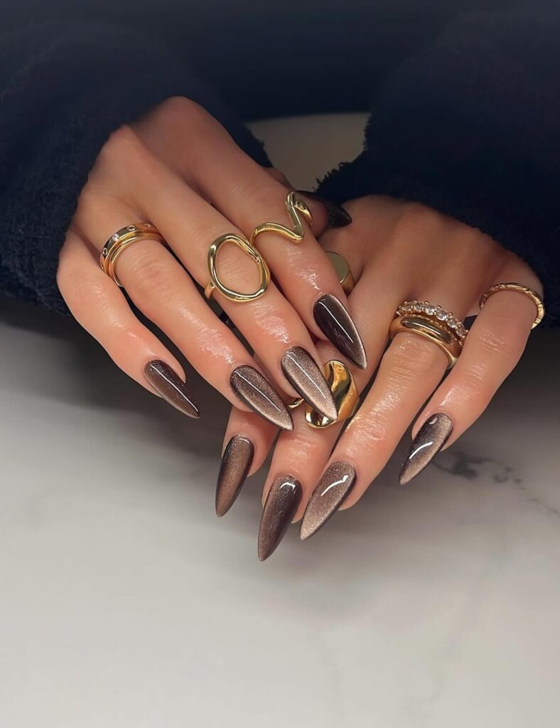 Long brown stiletto tiger eye nails