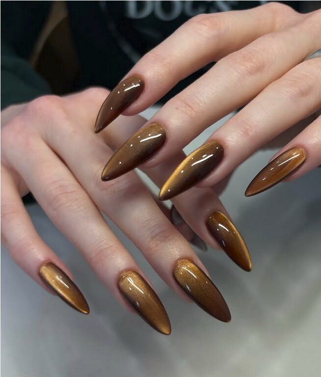 Long stiletto nails with a shimmery velvet brown, chocolate-toned finish