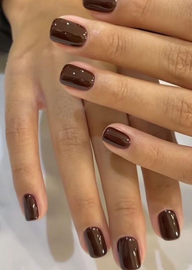 chestnut brown manicure