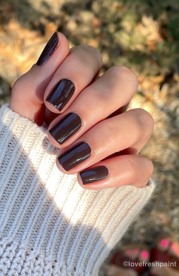Glossy dark brown nails