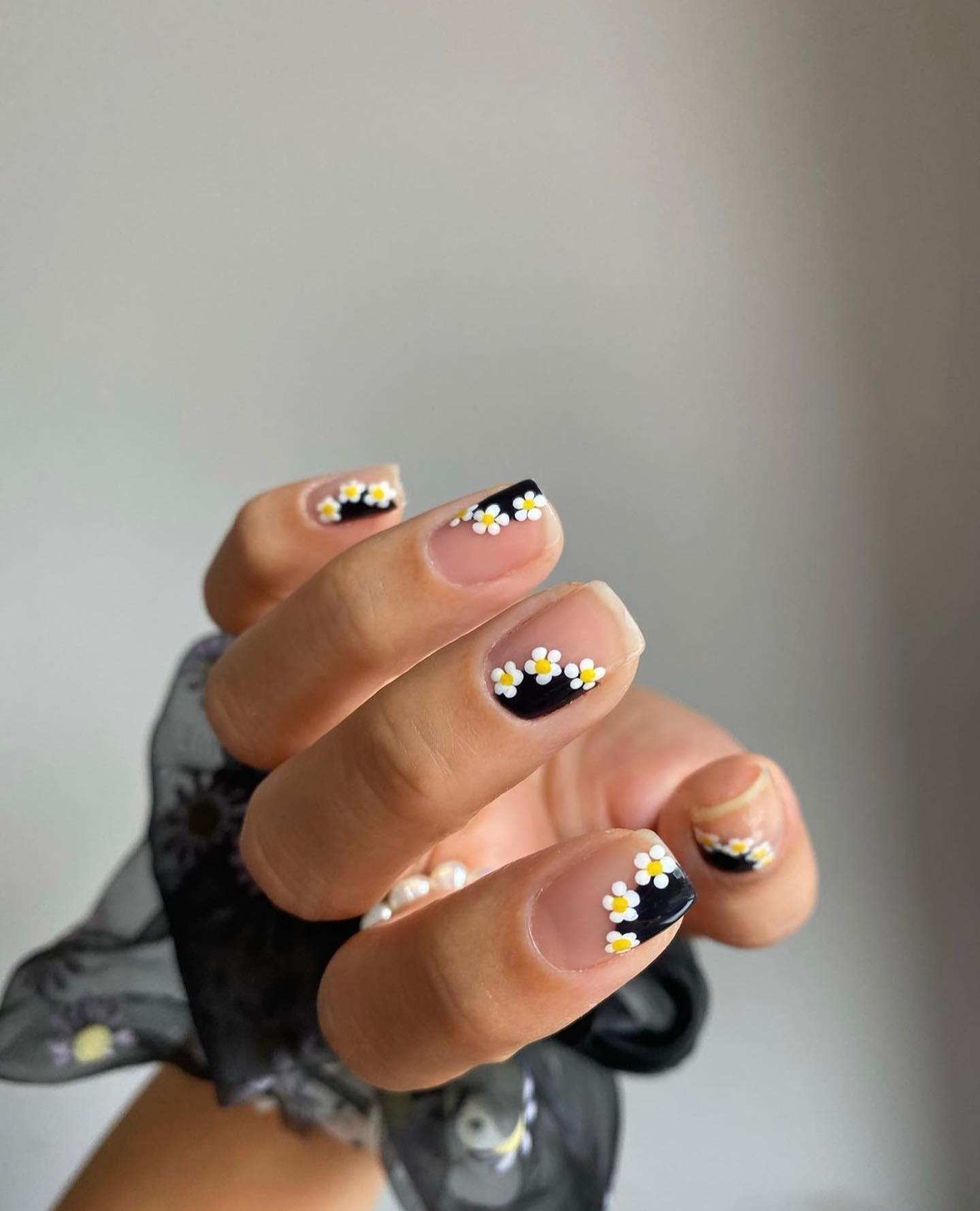 Short round nails with black tips and white daisy flower accents