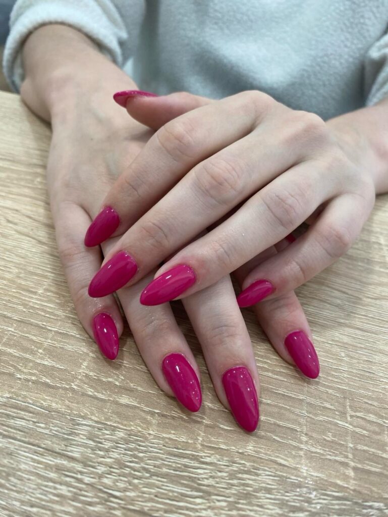 Fuchsia Floral Stiletto nails