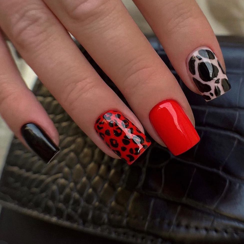 Short square nails in solid black, bold red, and red-and-black leopard print
