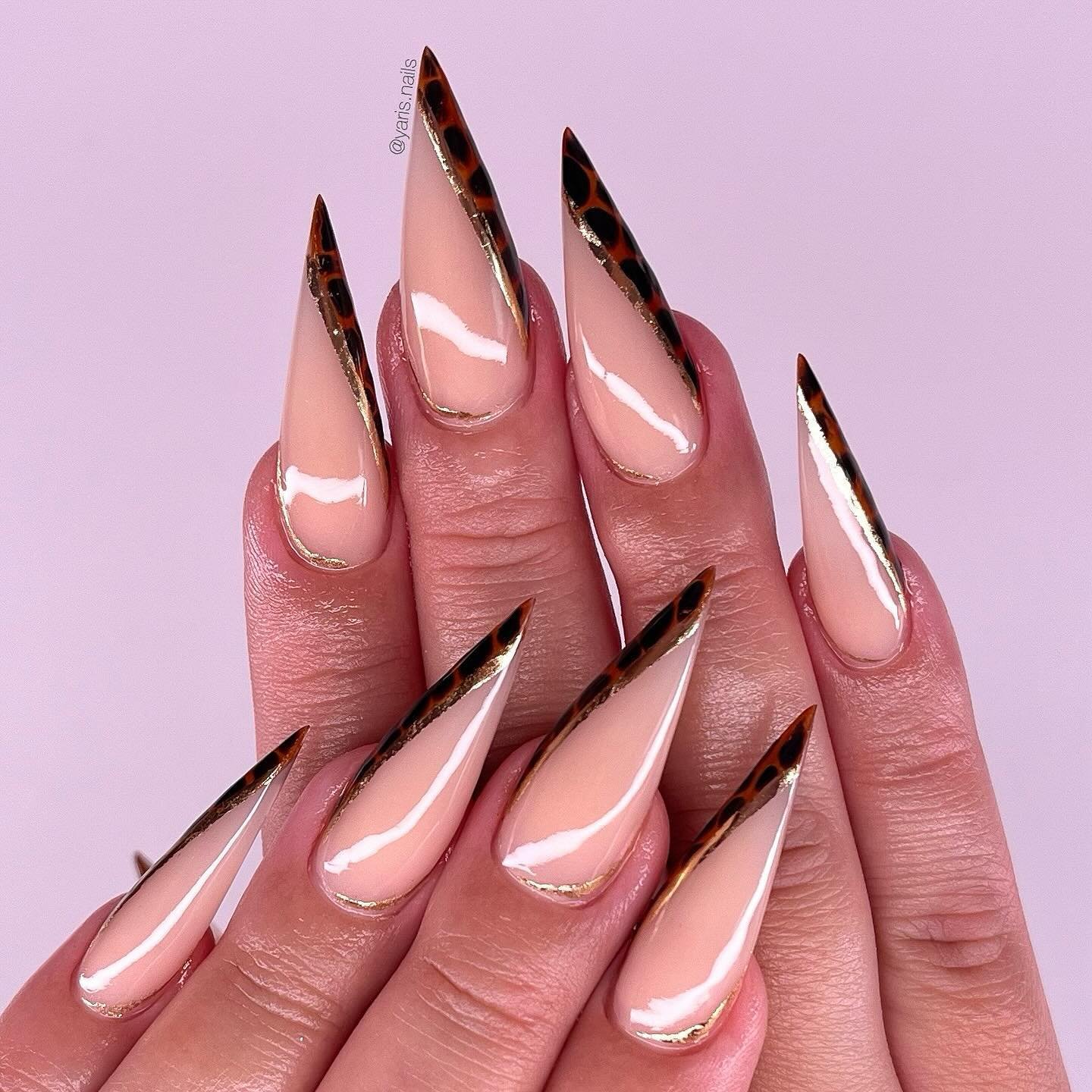 Long Stiletto Nails with Graphic Brown Tips