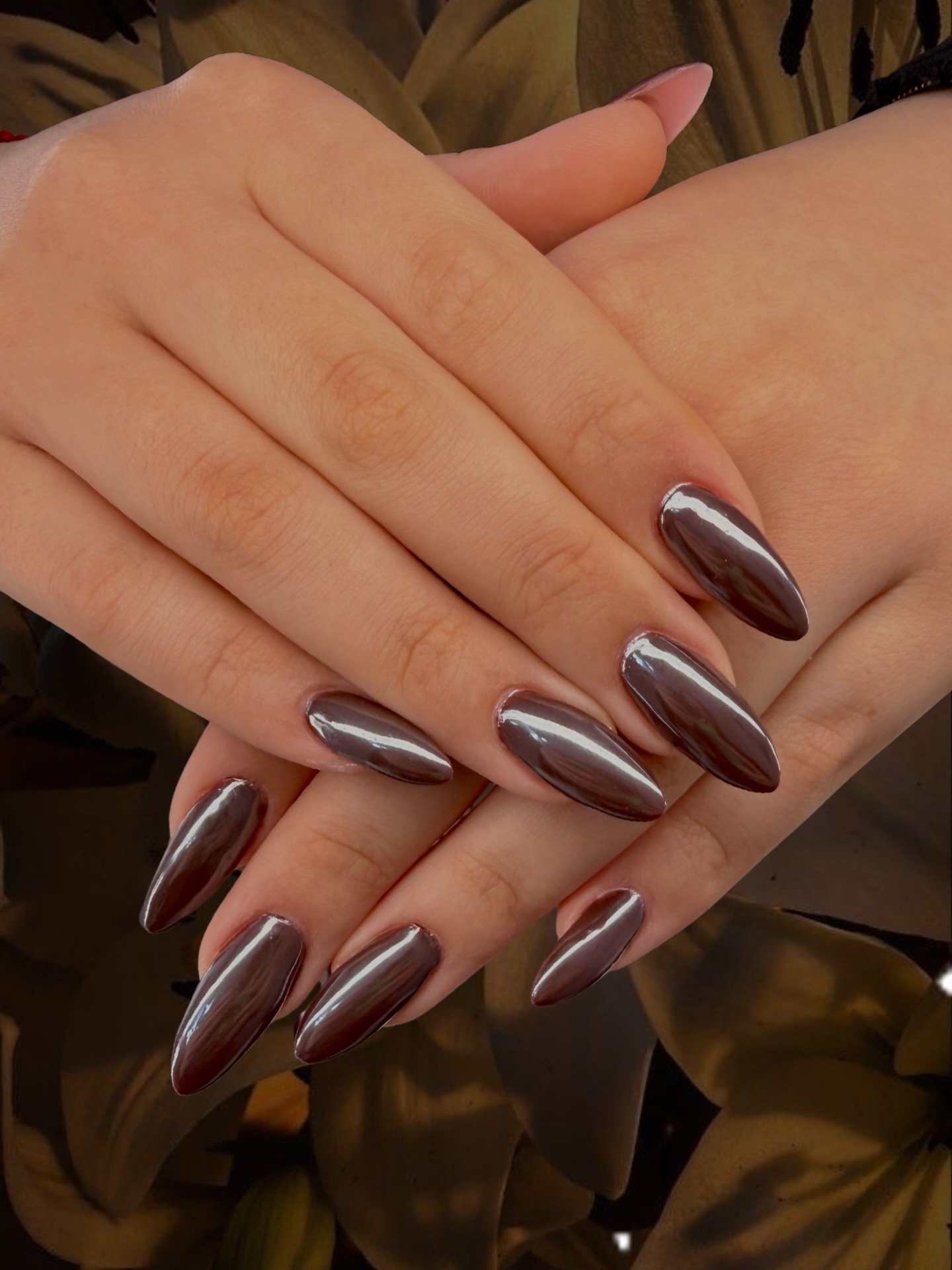 Chocolate Brown and Silver Chrome Nails