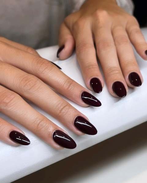 Short Glossy Black Cherry Almond Nails