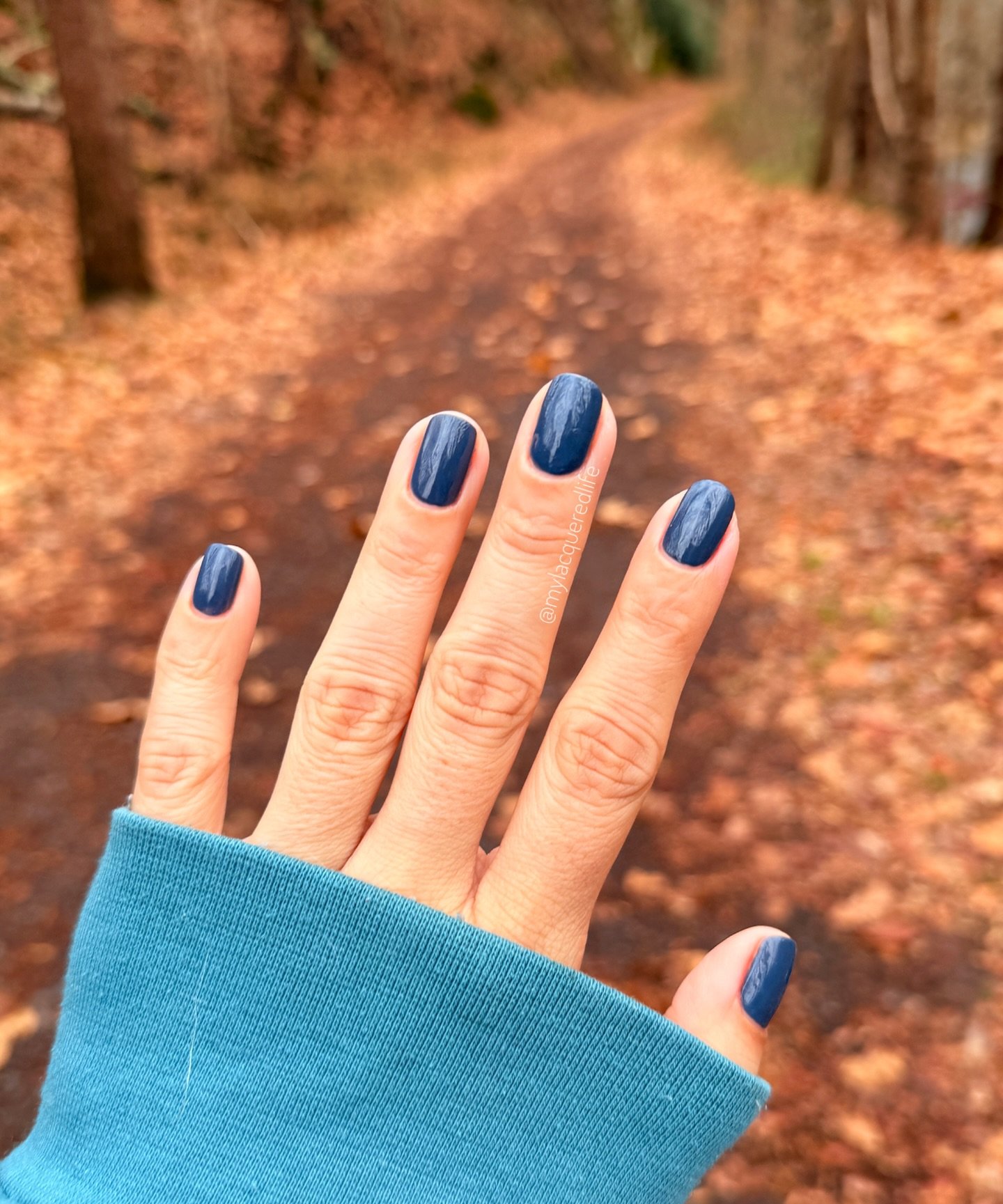 Dark Blue Nails in an Autumn Setting