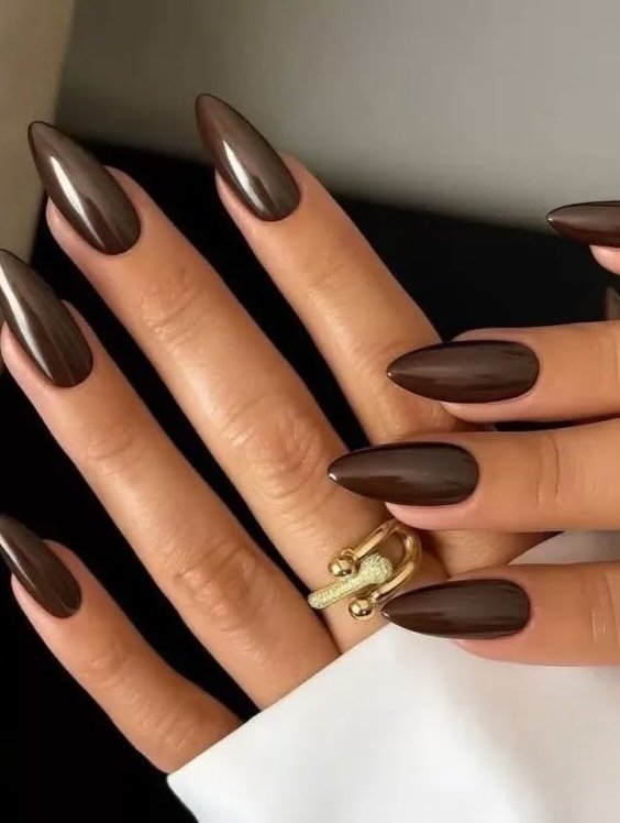 Long Almond Nails in Deep Bronze Brown