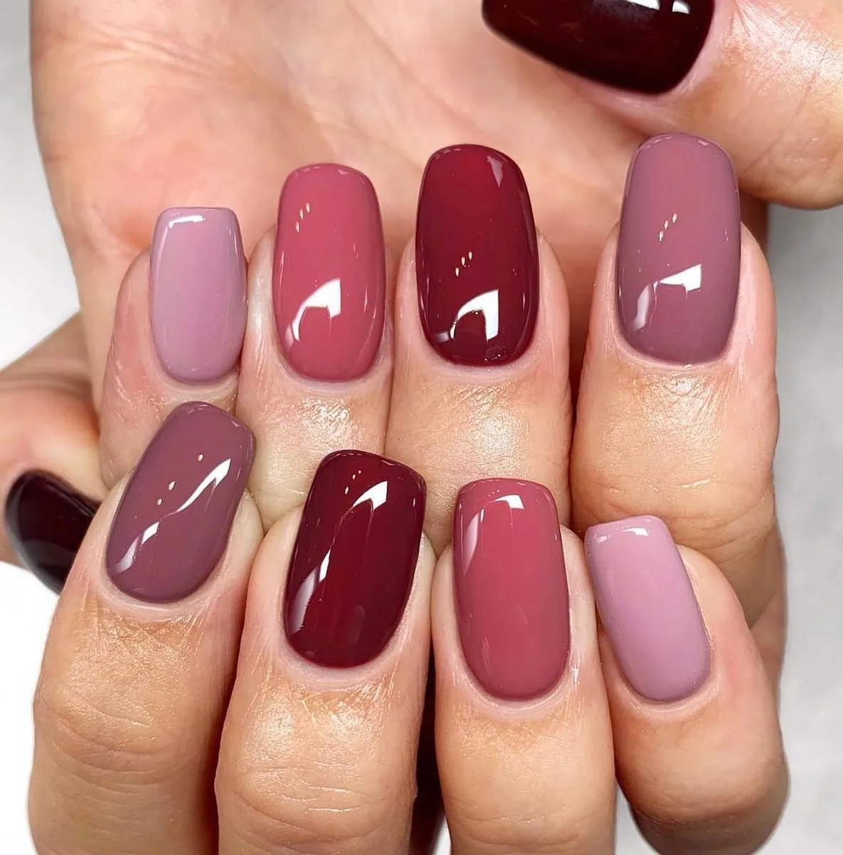 Glossy Berry and Mauve Short Nails — CkiOtTKoNsgCharlotte Cliff.jpg