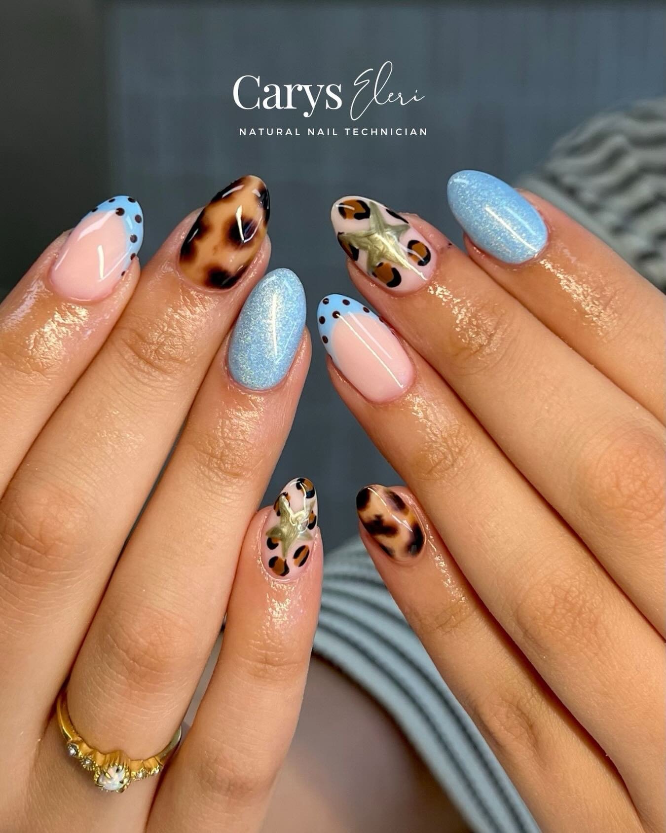 Blue, Pink, Brown, and Animal Print Nails