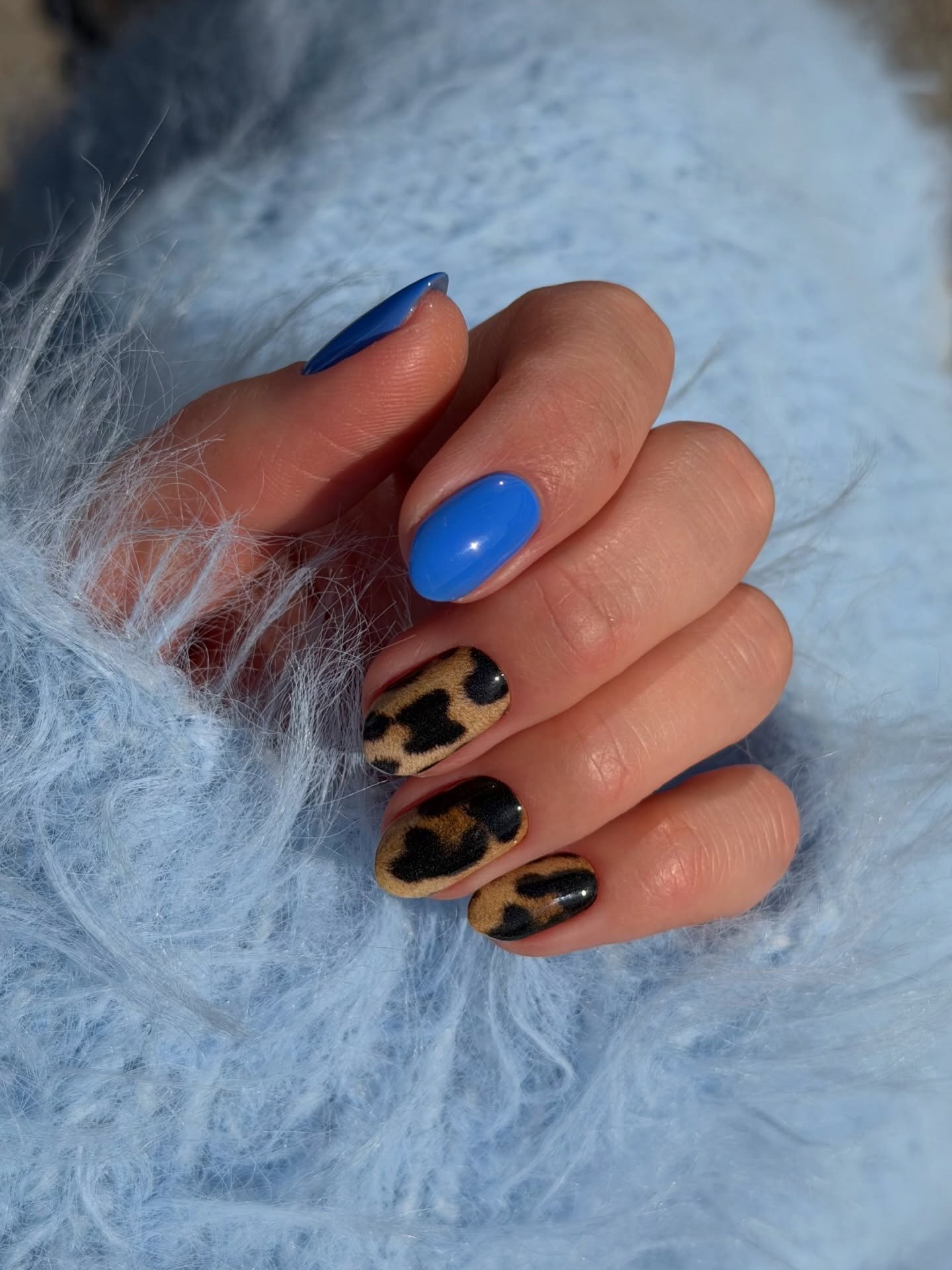 Blue, Nude, and Leopard Mixed Nails