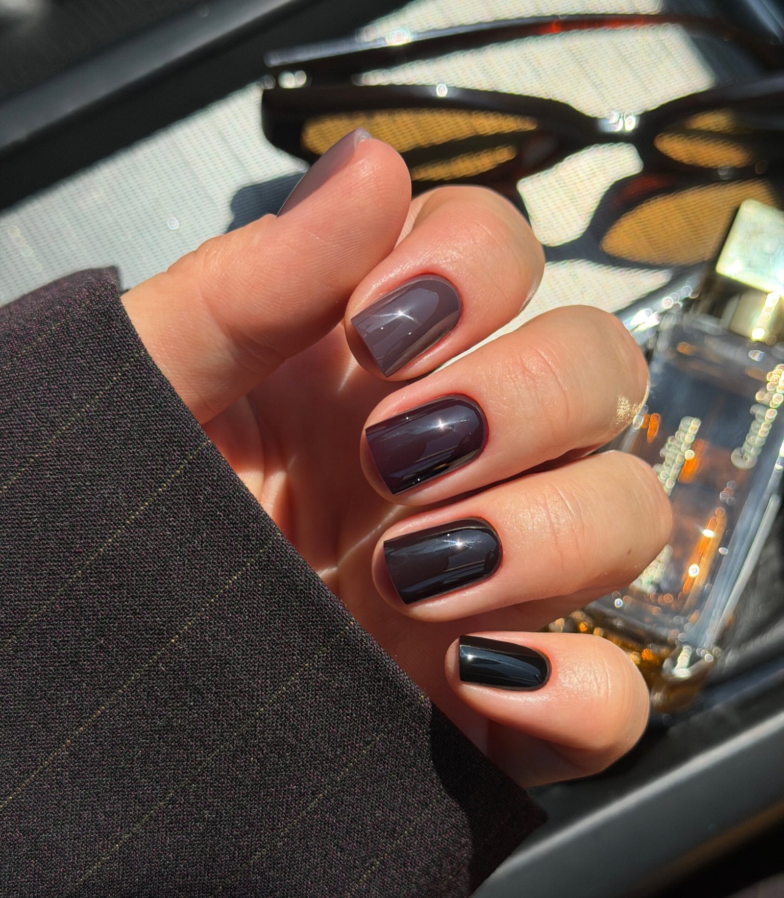 Dark Navy and Brown Glossy Nails