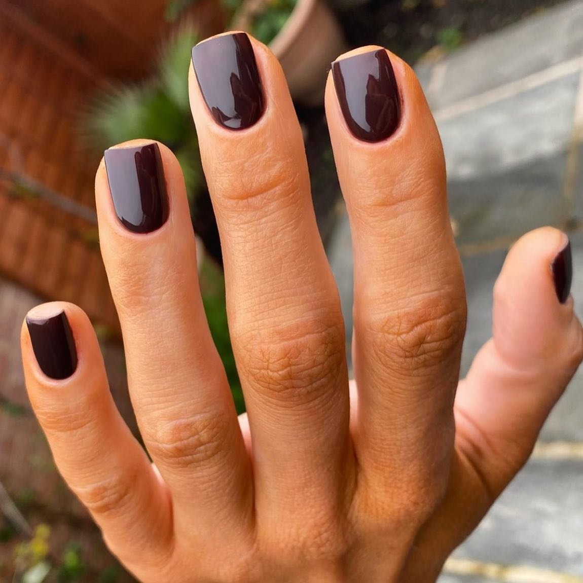 Short Deep Brown Square Nails with Clean Glossy Finish