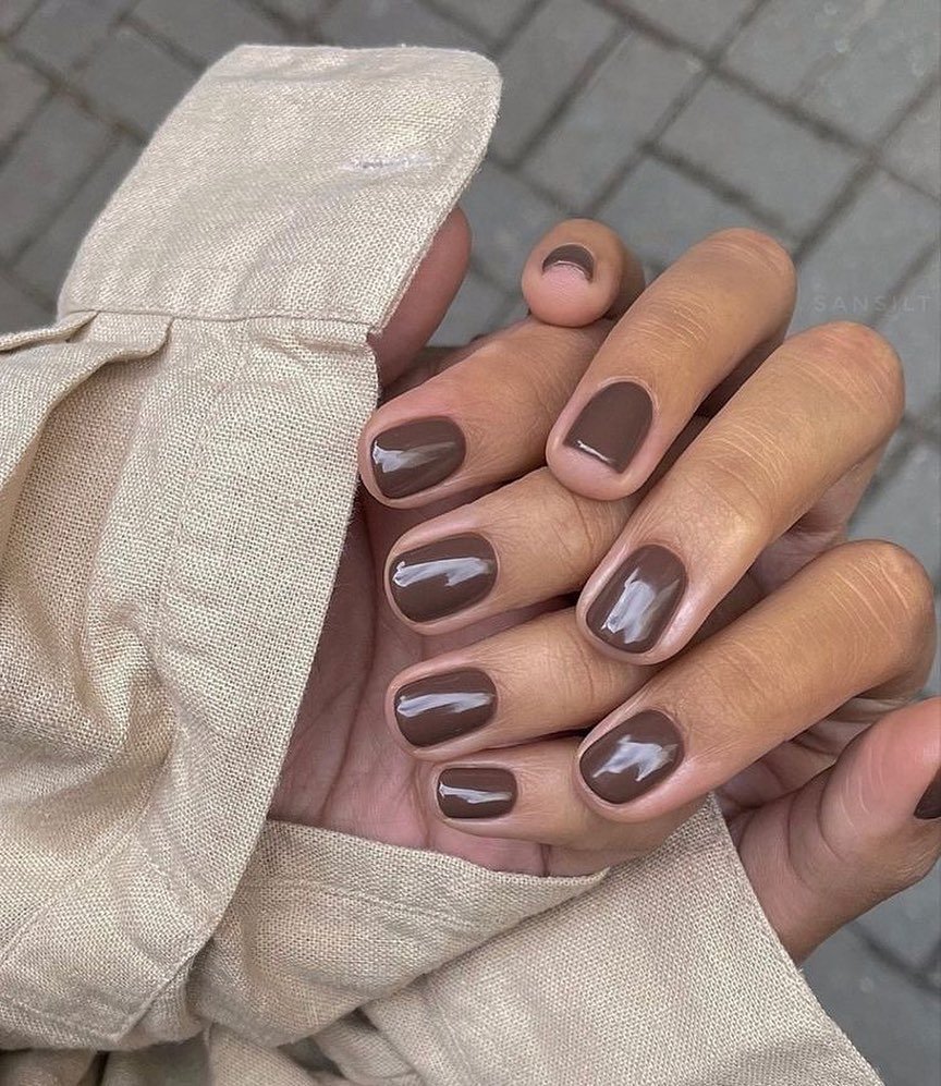 Short Brown Nails with Soft Pink and Glossy Accents