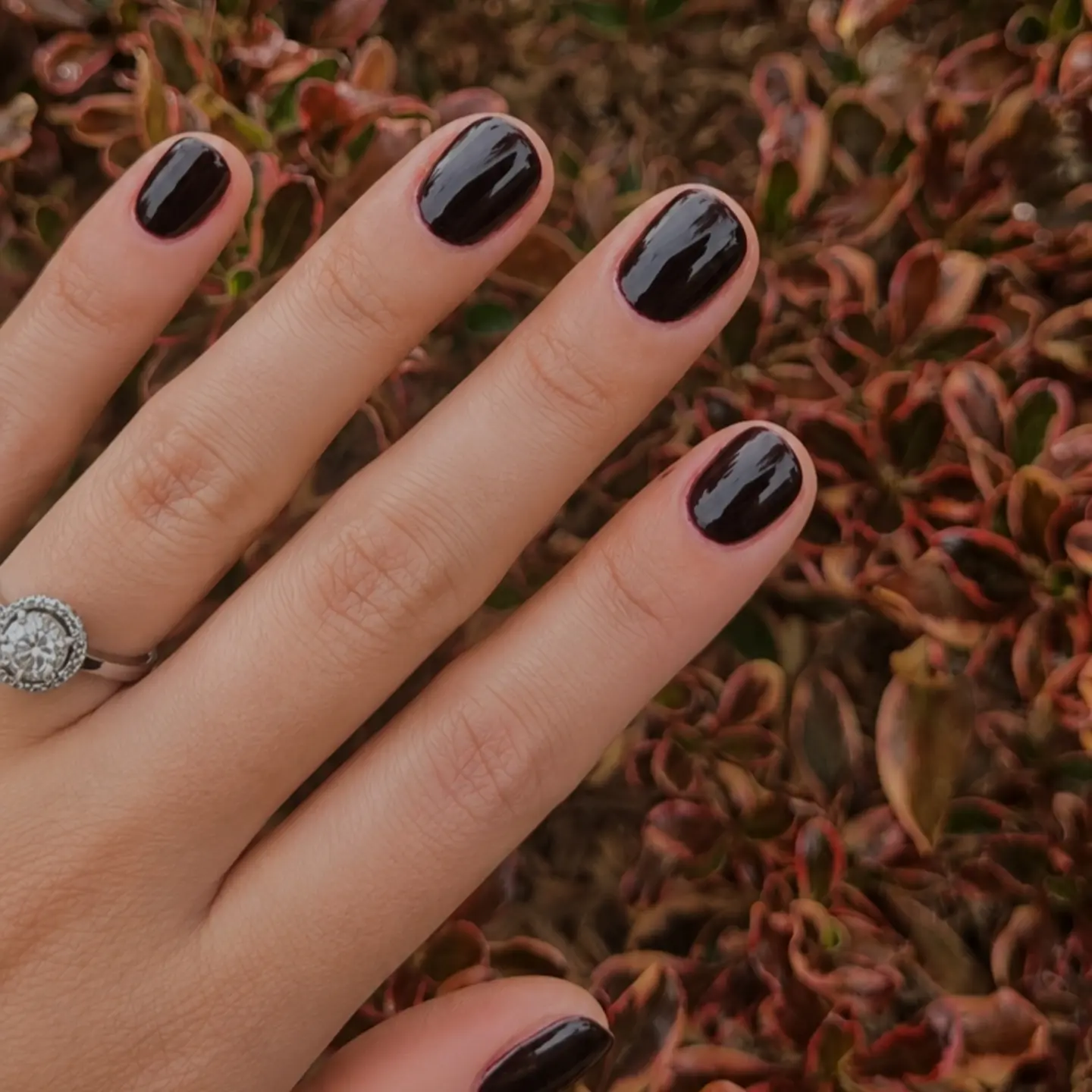 DapAC_CxTHVPERTH, BALDIVIS HARD GEL NAIL SPECISLIST.webp